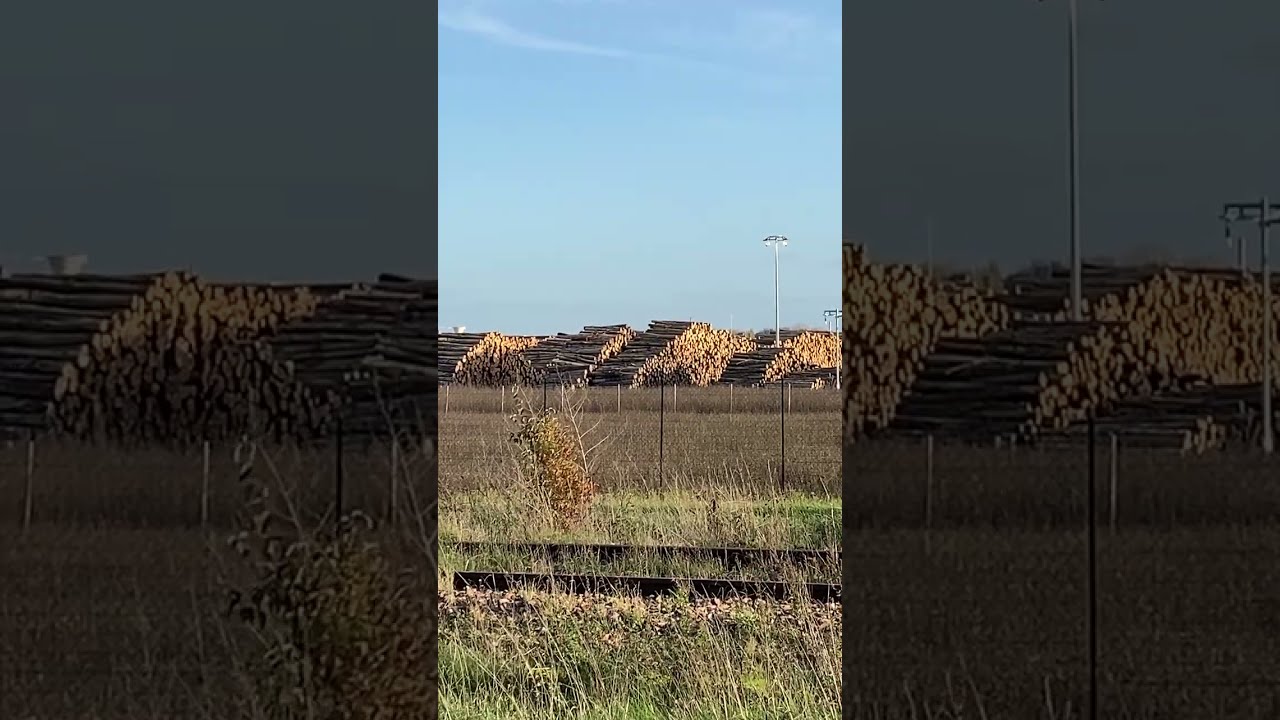 Tokyoto San - Zone industrielle - Stock bois usine - ancienne voie férrée - Vent -