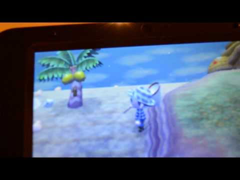 Como Atrapar Golden Stags en Animal Crossing: New Leaf