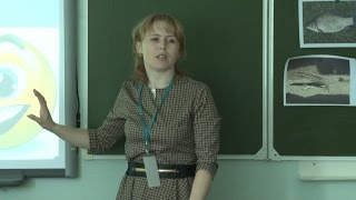 Учитель года 2017. Урок биологии. Аверченко Л.С. Учитель года 2017. Урок биологии. Аверченко Л.С.