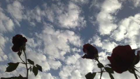 سورة مريم للقارئ الشيخ سعيد البهتيمي تلاوة نادرة