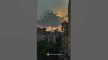 لما واحد ي شغل عنك إوعى تذكره بك الشيخ الشعراوي رحمه الله Fypシ ترند الشيخ الشعراوى اشتراك 