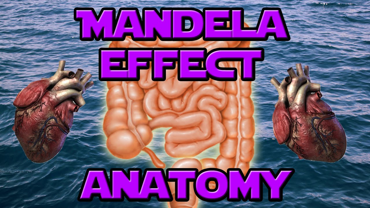 [Mandela Effect] Changes in human anatomy YouTube