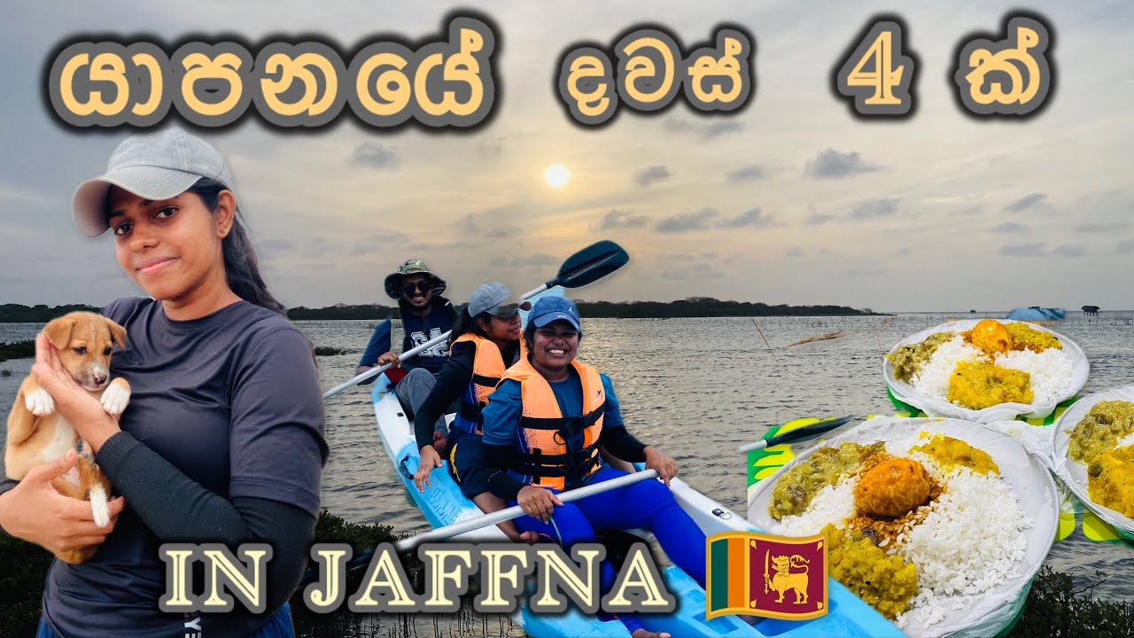 යාපනයේ ගෙවුණු දවස් 🌴🏖️|අපි ගත්තු අමුතු experiences ටික 🛶|Days in Jaffna #jaffna#seaweed#vlog#sinhala