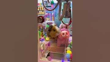 Crazy Claw Machine Paradise:Part 9 #clawmachine #arcade
