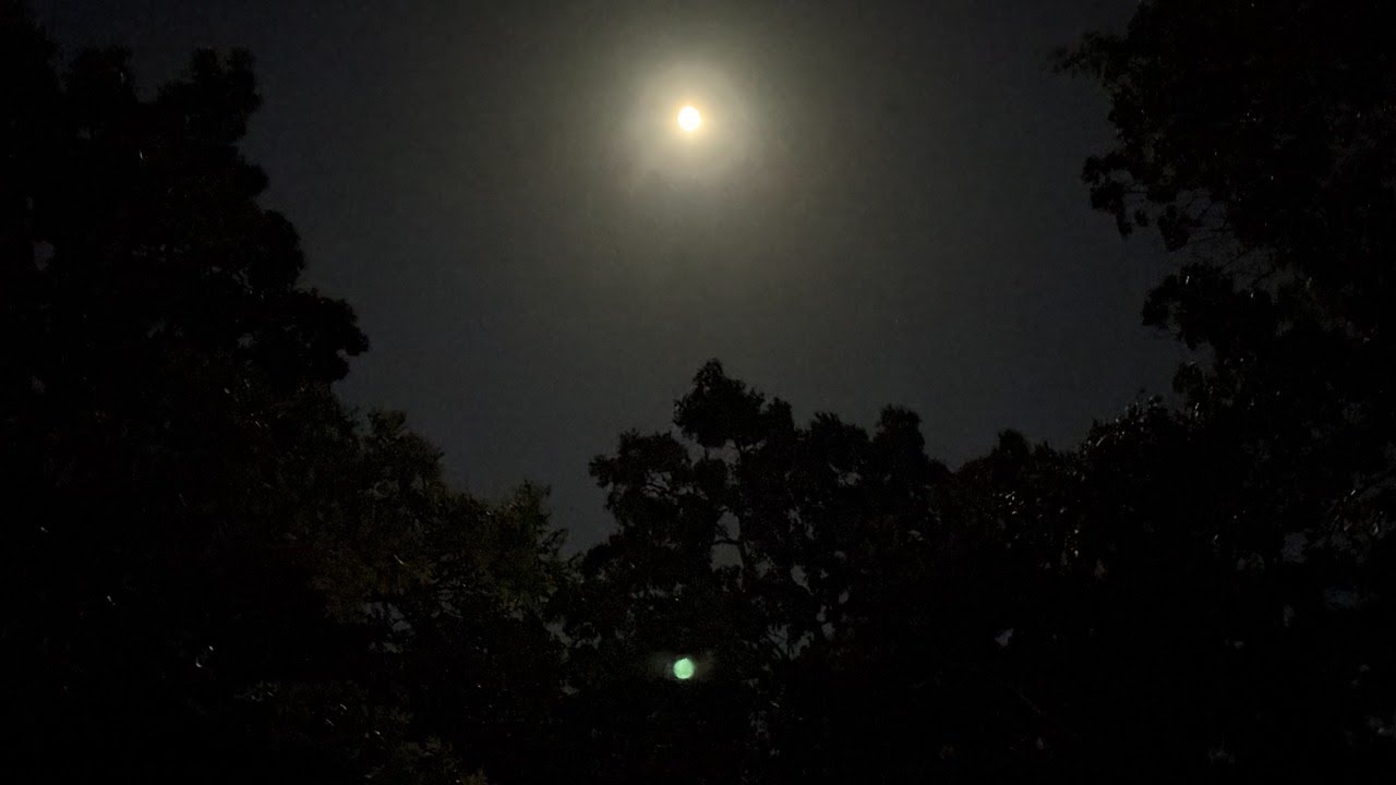 LIVE LIVE LIVE: Indian Point on Table Rock: October Moon