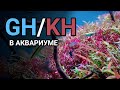 Жесткость воды в аквариуме GH и KH. Как понизить и повысить общую и карбонатную жесткость.