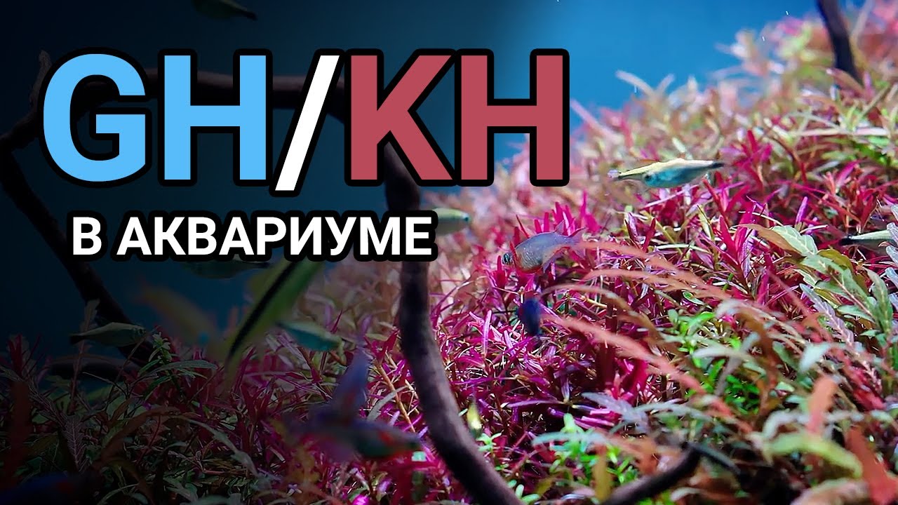 Жесткость воды в аквариуме GH и KH. Как понизить и повысить общую и карбонатную жесткость.