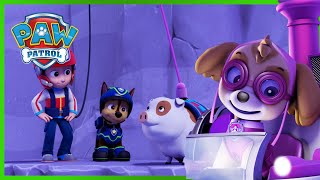 Pups Redden Een Hoogvliegende Skye - Paw Patrol Nederlands - Pup Tales