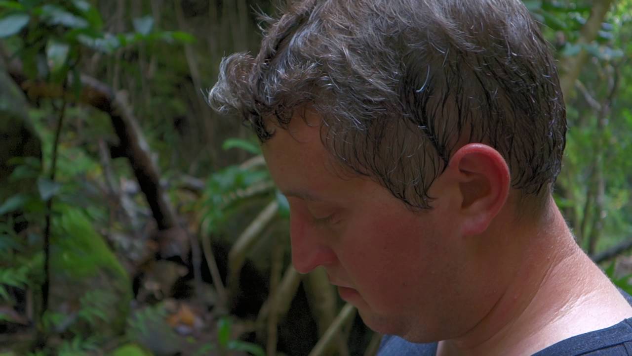 VLOG - 60 // Waterfall Dive Hike // FPV Paradise // 