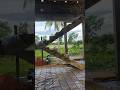 #টিনশেডঘর #realestate# concessionvideo #বিল্ডিংYouTubereal
