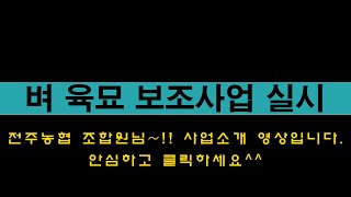 벼육묘사업 실시