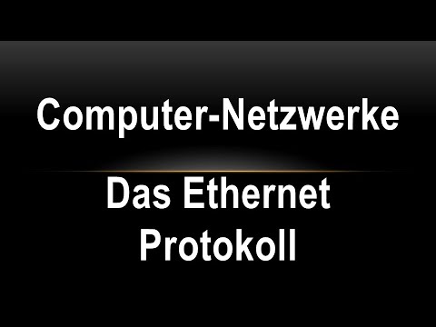 12 Netze -