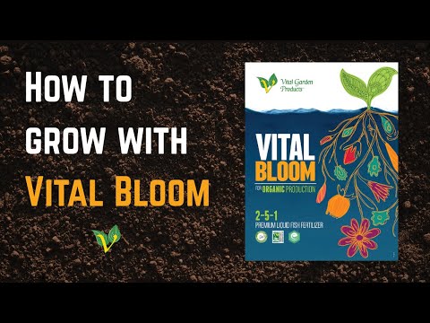 Vital Bloom - Liquid Bloom Fertilizer 2-5-1