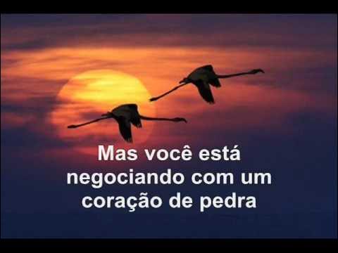 Bee Gees - Wish You Were Here (Tradução) 