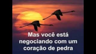 Bee Gees - Wish You Were Here (Tradução)