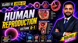 Human Reproduction Full Lecture 0-1 | Class 12 Biology Board + NEET