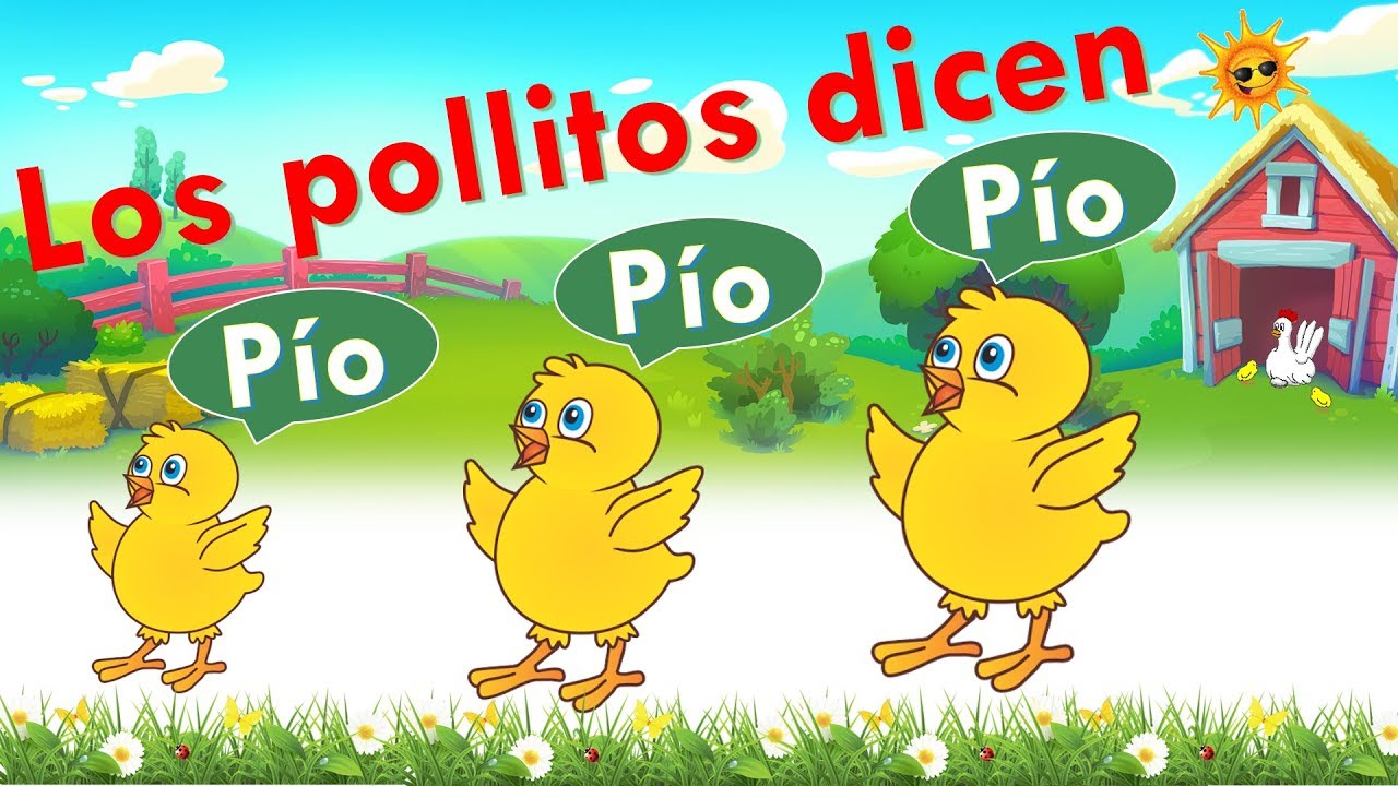 Los pollitos dicen: ¡pío, pío, pío! - Canción infantil - YouTube