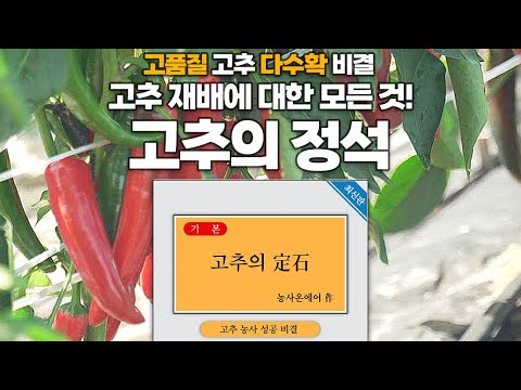 유튜브 미리보기