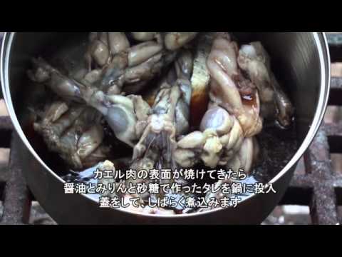 カメちゃんクッキング編