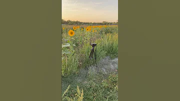 My camera ZV-E10 ?? ?? #nature  #travel #naturewalk