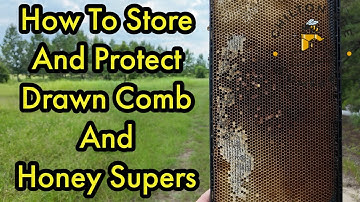 How To Store And Protect Drawn Comb And Honey Supers