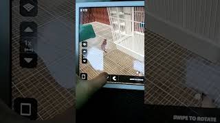 my pets in house designer! #shorts screenshot 4