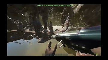 Master the Mesh: Every Lost Island Base Spot