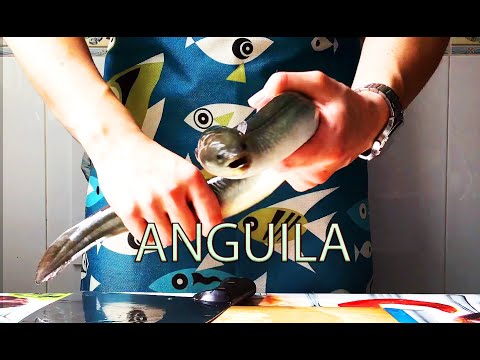 Video: Cómo Cortar Una Anguila