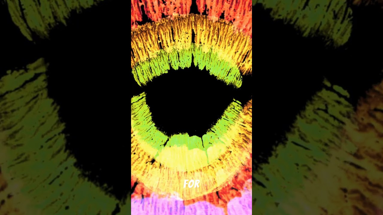 Nocturnal paralysis: why do you see aliens?