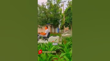 Alat semprot modifikasi yang modern untuk menyemprot jagung #shorts #shortsvideo #jagung