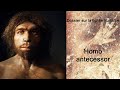 Homo antecessor