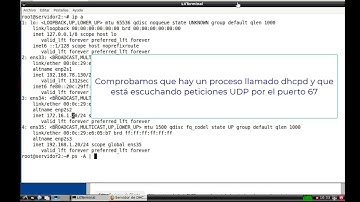 Configuración DHCP Server con Webmin