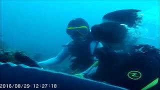 Fun Dive @ CANYONS