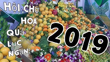 HỘI CHỢ HOA QUẢ LỤC NGẠN _ BẮC GIANG LỚN NHẤT MIỀN BẮC |BÙI BIÊN TV