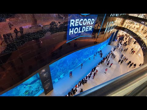 WORLDS LARGEST INDOOR AQUARIUM Dubai Aquarium #dubai #expo2020