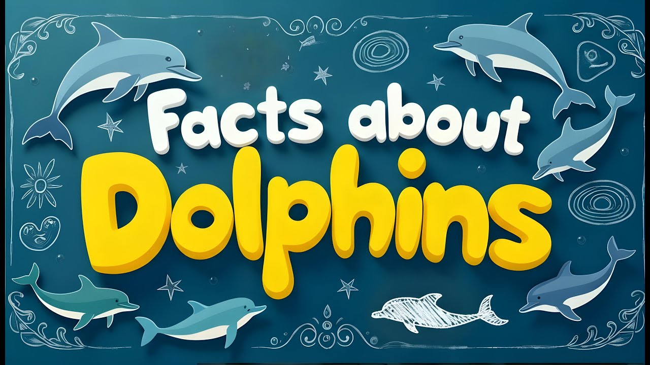 Amazing Facts about Dolphins - Fun Dolphin Facts for Kids & Adults ...