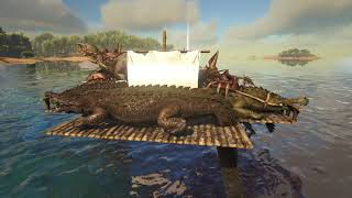 Ark Problems Require Ark Solutions 