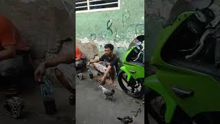 knalpot Ams racing ninja dll