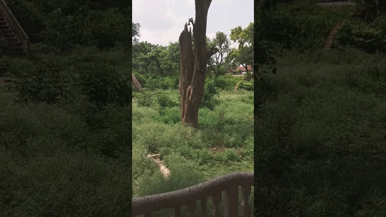 Most haunted place in uttar Pradesh || Sitapur || Maholi || India ||