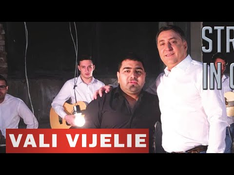 VALI VIJELIE si LIVIU PUSTIU - Strig cat pot in gura mare (AUDIO OFICIAL 2015)
