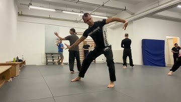 Bagua Zhang - Class Notes #7 | December 7th 2021