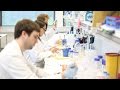 Synthetic Biology: Engineering a Bioplastic-Producing E. Coli Cell Factory - Group 1