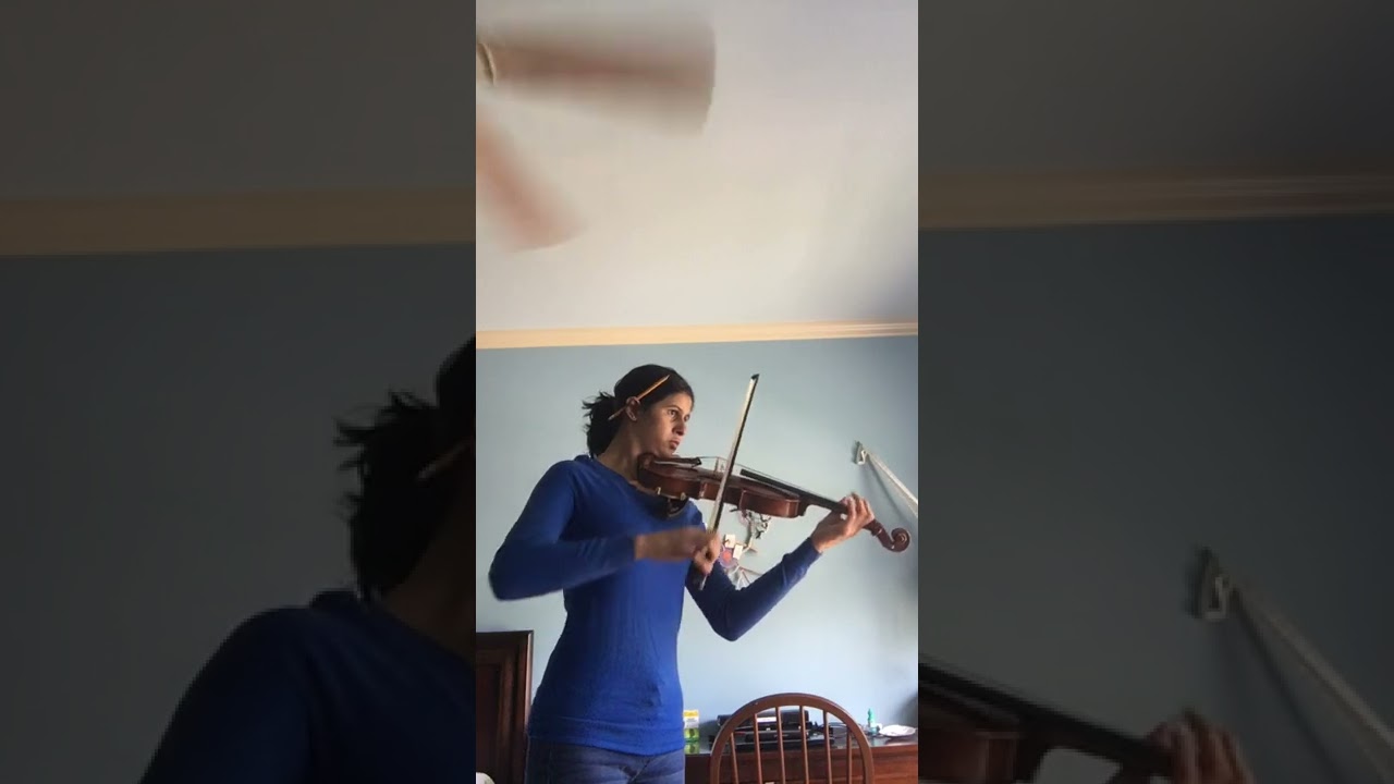 Rick and Morty theme violin cover