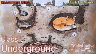 Underground Poem 5 Class 5 Collins English Alive Coursebook ‎@PassionateMind-AS Hindi Explanation