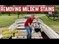 RESCUING The MILDEW Covered Interior On My $500 1966 SeaRay BOAT