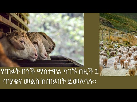 ቪዲዮ: ሉተራውያን በክህደት ያምናሉ?