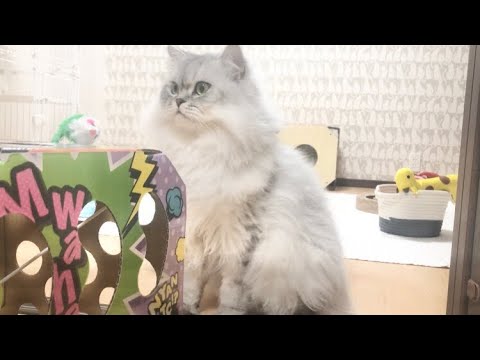【るいりお】爆アゲ