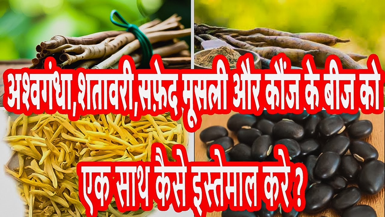 How to use Ashwagandha Shatavari Safed Musli and Kaunch Beej powder?