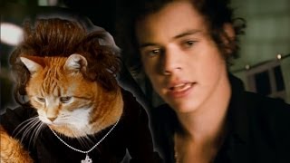 Play One Direction Off, Keyboard Cat!