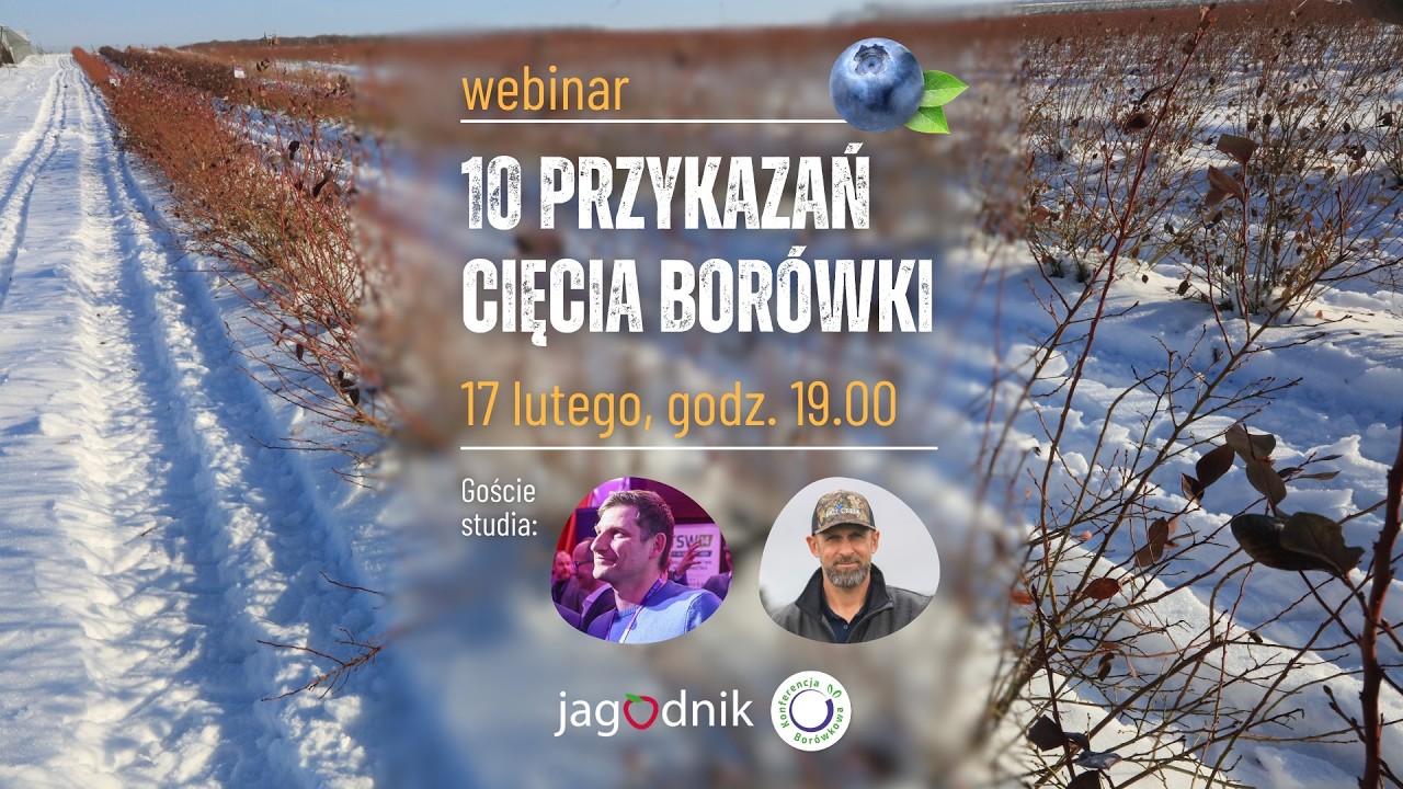 WEBINAR | 10 przykazań CIĘCIA BORÓWKI